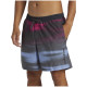 Quiksilver Ανδρικό μαγιό Everyday Fade Volley 17" - Swim Shorts for Men